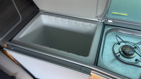 Oscar – VW California