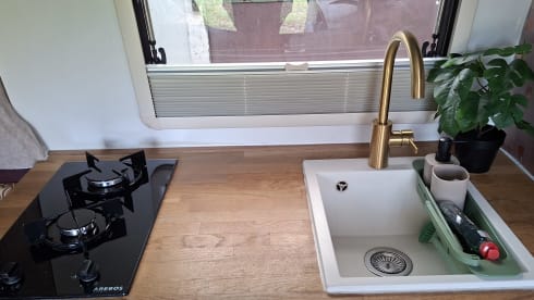 Renault-Bus mit 2 Sitzplätzen aus dem Jahr 2016