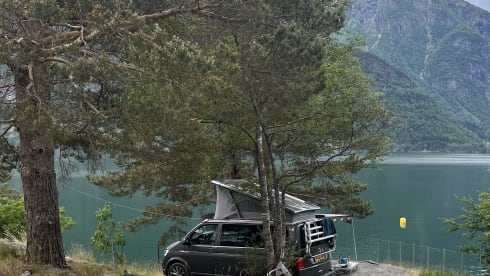 Boelie – 4p Volkswagen bus from 2018