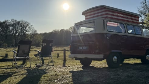 Rosie – Take me out for a retro adventure with your friends, family and pets