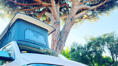 Dub Di – Adventure in Style – Two-Tone T6 VW Campervan, 2018 (Sleeps 4)