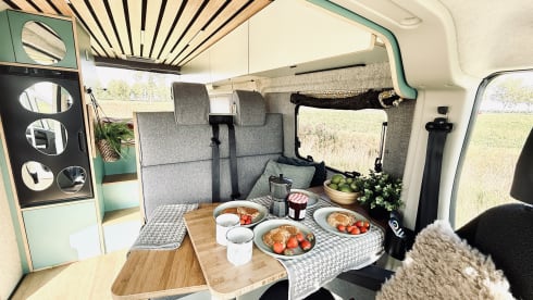 Bennie – Bennie: Fiat Campervan (Automatic) - Pet Friendly - 4 Persons