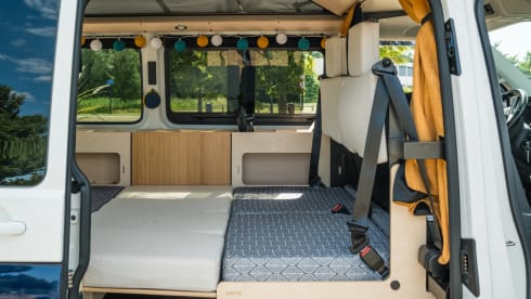 NEW Exclusive VW Bus Camper