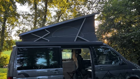 CALI Grey – Volkswagen California OCEAN Green&White
