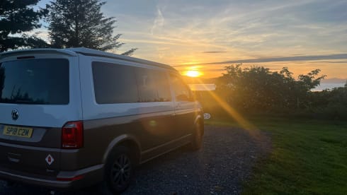 Goldie – Explore with Goldie - Up to 6 Berth VW T6 Campervan