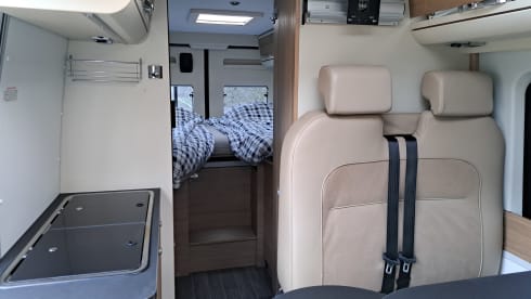 Bubble Adria – Fiat Globecar bus camper
