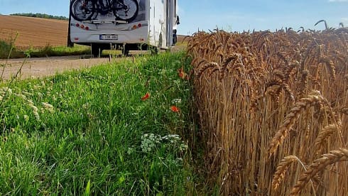 Mac – McLouis 479 Fiat semi-integrated from 2024 AUTOMATIC