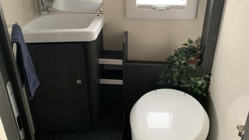 Holiday Adventure – 4p Roller Team semi-integrated uit 2022