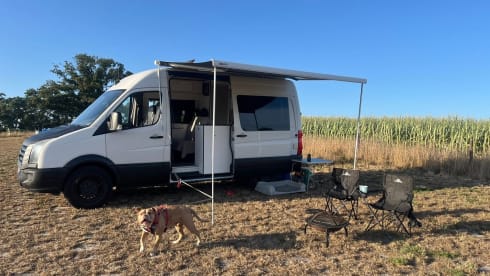 Vicki the Vdub – 2 berth Volkswagen bus from 2016