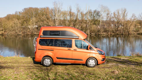 klein maar dapper  – 2 Ford bus nugget from 2019