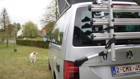 4 p 2022 Volkswagen California