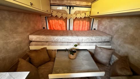 Ollie – 2p Peugeot bus from 2014