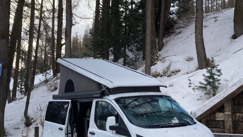 NUGGET – FORD NUGGET