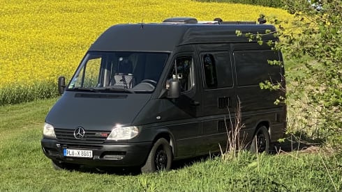 Ernst The Van – Ein gemütlicher Oldie