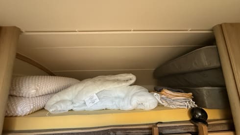 Our Molly – 6 berth Peugeot alcove from 2015