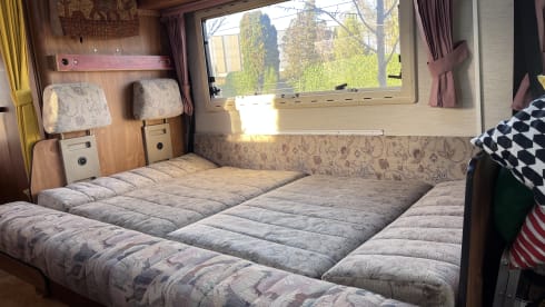 De bruine beer  – 5p Hymer integrated from 1992