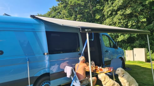 De brilsmurf – 2p Volkswagen bus from 2016/2023