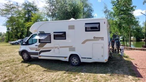 4p Benimar Cocoon uit 2017