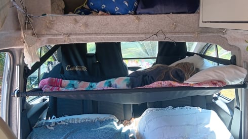 DUSTY – FORD TRANSIT CUSTOM HIGH TOP - UP TO 5 BERTH