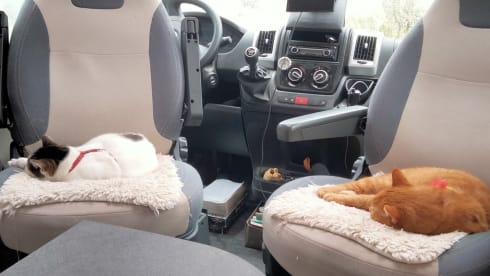 A louer camping-car Chausson 