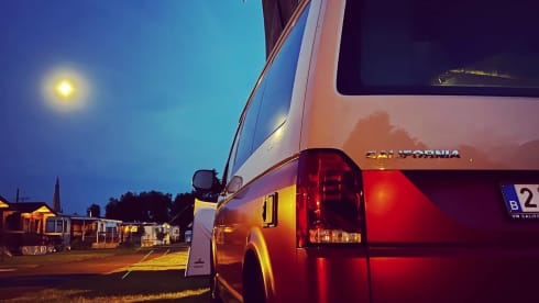 CALI Red/Grey – Volkswagen California Coast Red/Ascot Gray (2022)