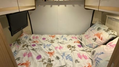 Dreamer D55 – Vermietung Träumer D55