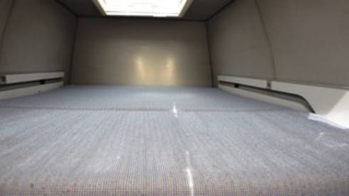 Cherry – T25 Westy