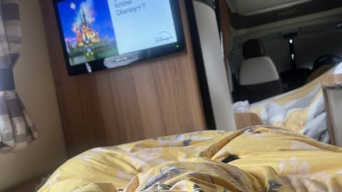 4-Bett-Bailey-Bus von 2016