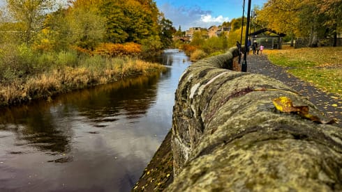 Bamboo Buck – Hashtagcampeurs 