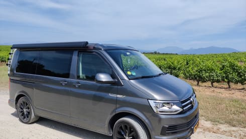 Déesse – VWCalifornia Ocean