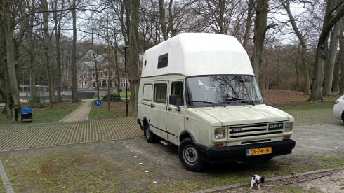 QUIBUS – DAF V400 from 1987