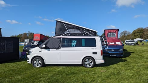 White Cali 2019 – 2019 VW California Campervan - Auto DSG- Sleeps 4
