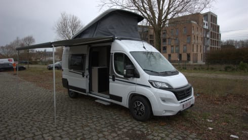4p Carado bus uit 2023
