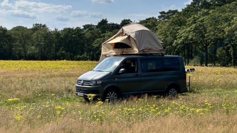 Toit Volkswagen 4p de 2018