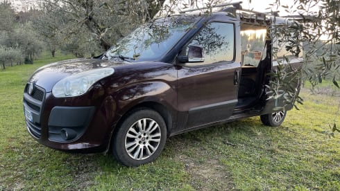 Alba – Practical and comfortable Doblo