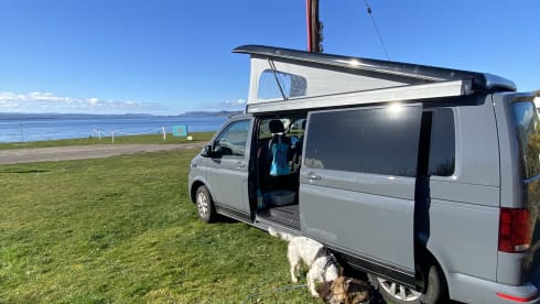 Trans LWB Auto – VW Transporter T6.1 (LWB) Automatic - Brand New