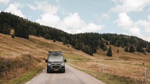 3p Peugeot bus from 2017