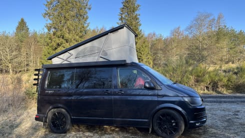 The Peregrine Falcon – VW California Ocean - Sparkling! 