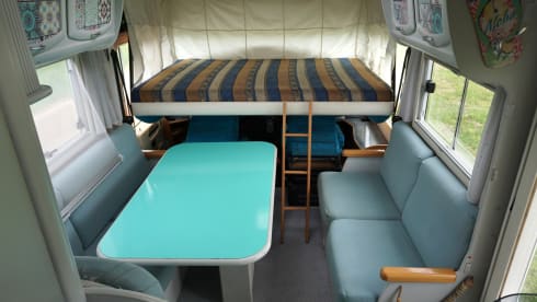 Fijne Frankia camper