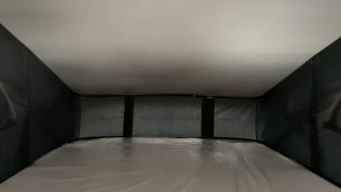 Cali – Volkswagen California Beach