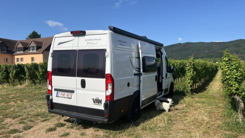 Well equipped Karmann Davis 620 bus from 2022 - dogs welcome