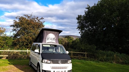 Transporter-Saurus-Rex – Transporter-Saurus-Rex... a 4 berth Volkswagen campervan from 2010