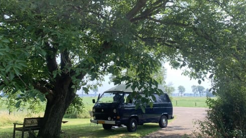 Maxima  – 2p Volkswagen bus from 1986