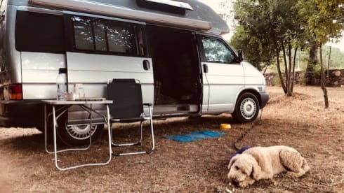 Ons bussie – 3p Volkswagen campervan uit 2001