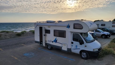 Merlino  – Big Marlin 6 posti viaggio