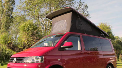  "Pacha" is a gorgeous cherry red, premium conversion