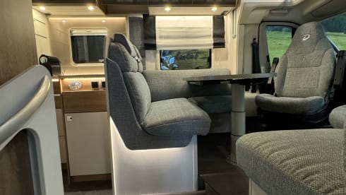 Luxury 4p Detleffs Trend from 2022