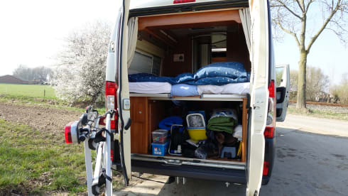 2p Citroën Bus camper from 2014