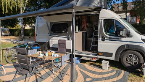 Bingo – 4p Carado bus from 2025