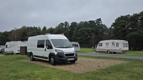 Herdy 🐑 – ✨ Luxuriöser Campervan mit 2 Schlafplätzen – nur für Erwachsene | Autarkie-fähig | Hundefreundlich ✨